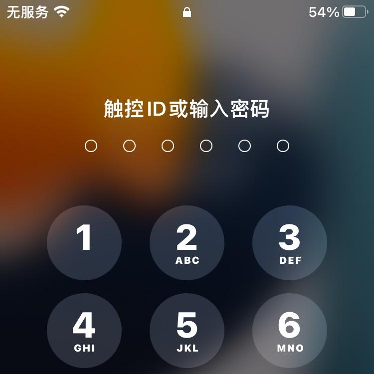 苹果迷