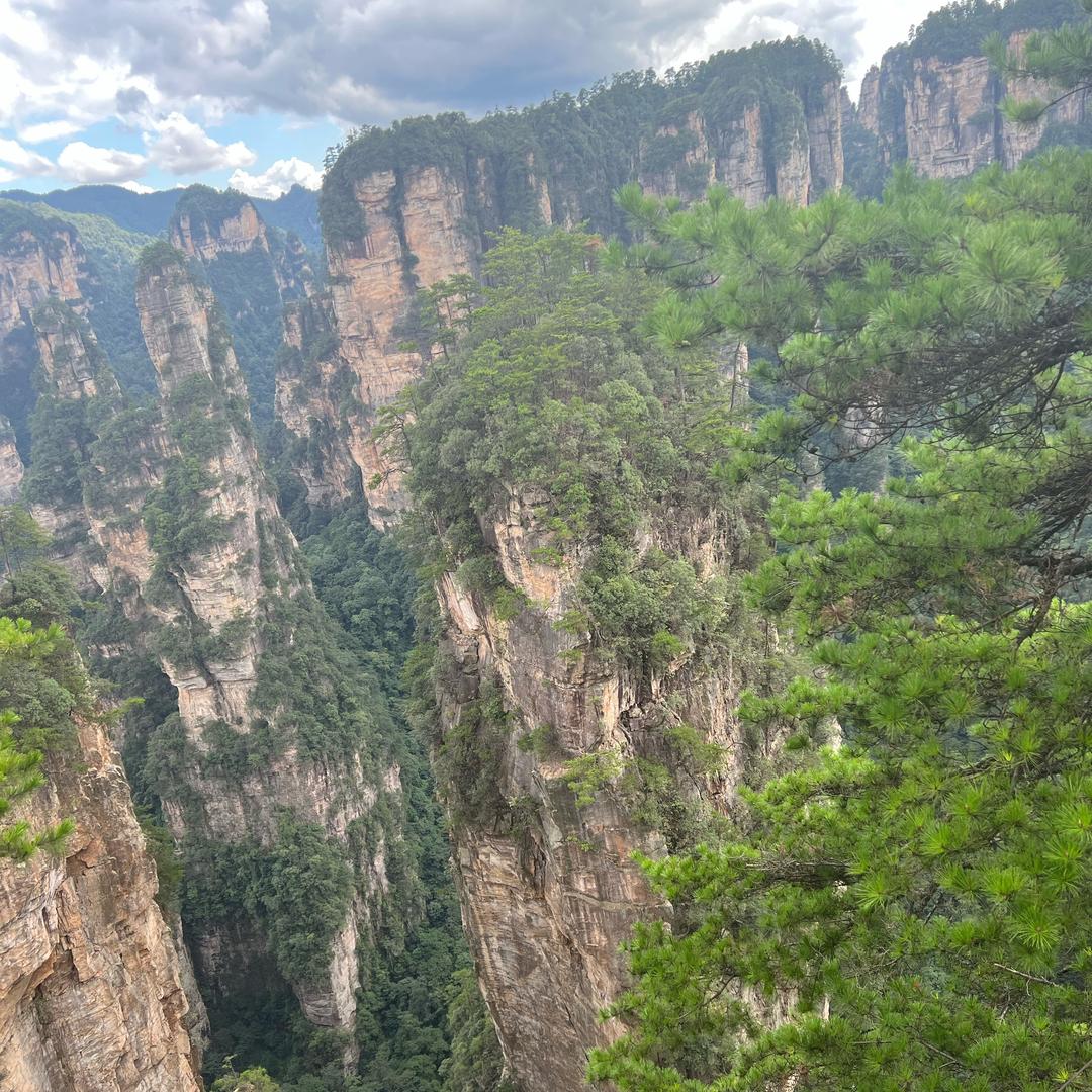 炎焱让你懂