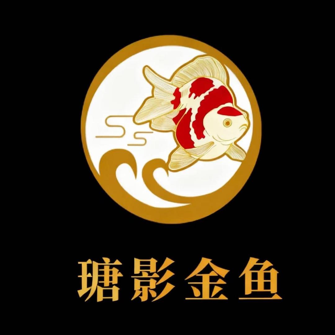 江门瑭影金鱼文化