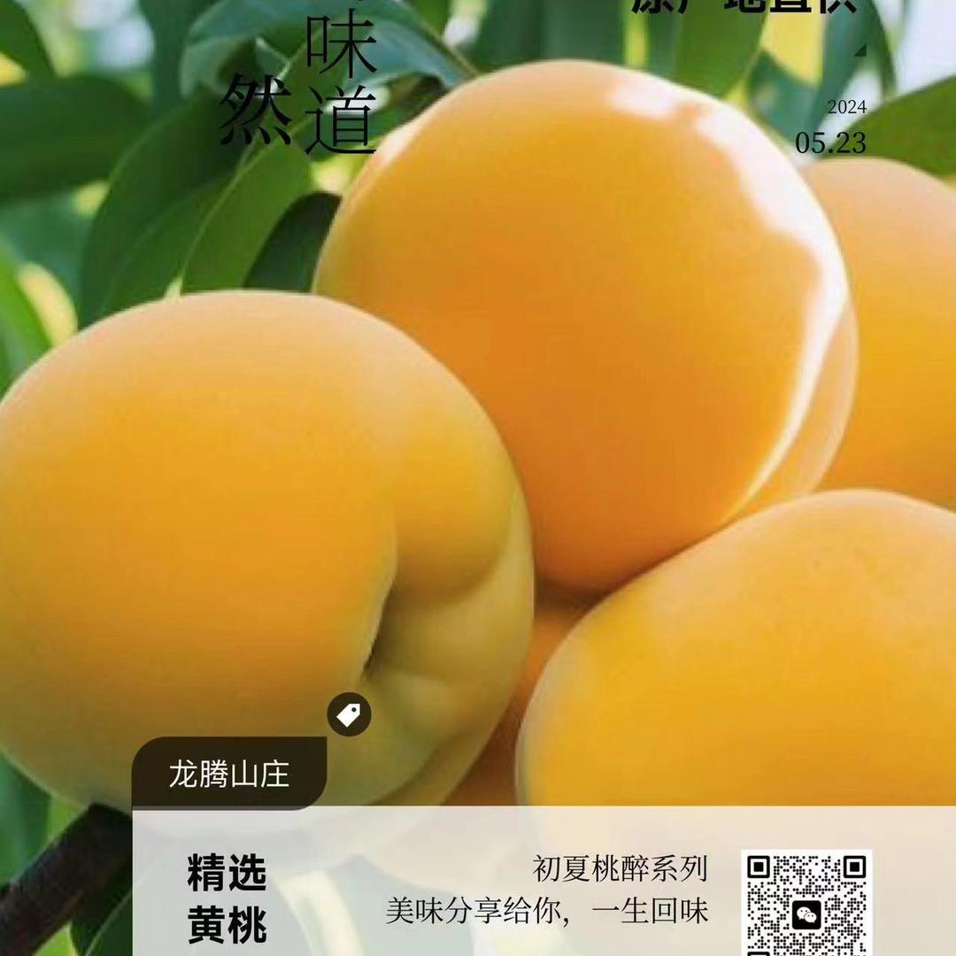 龙腾生态果业果园