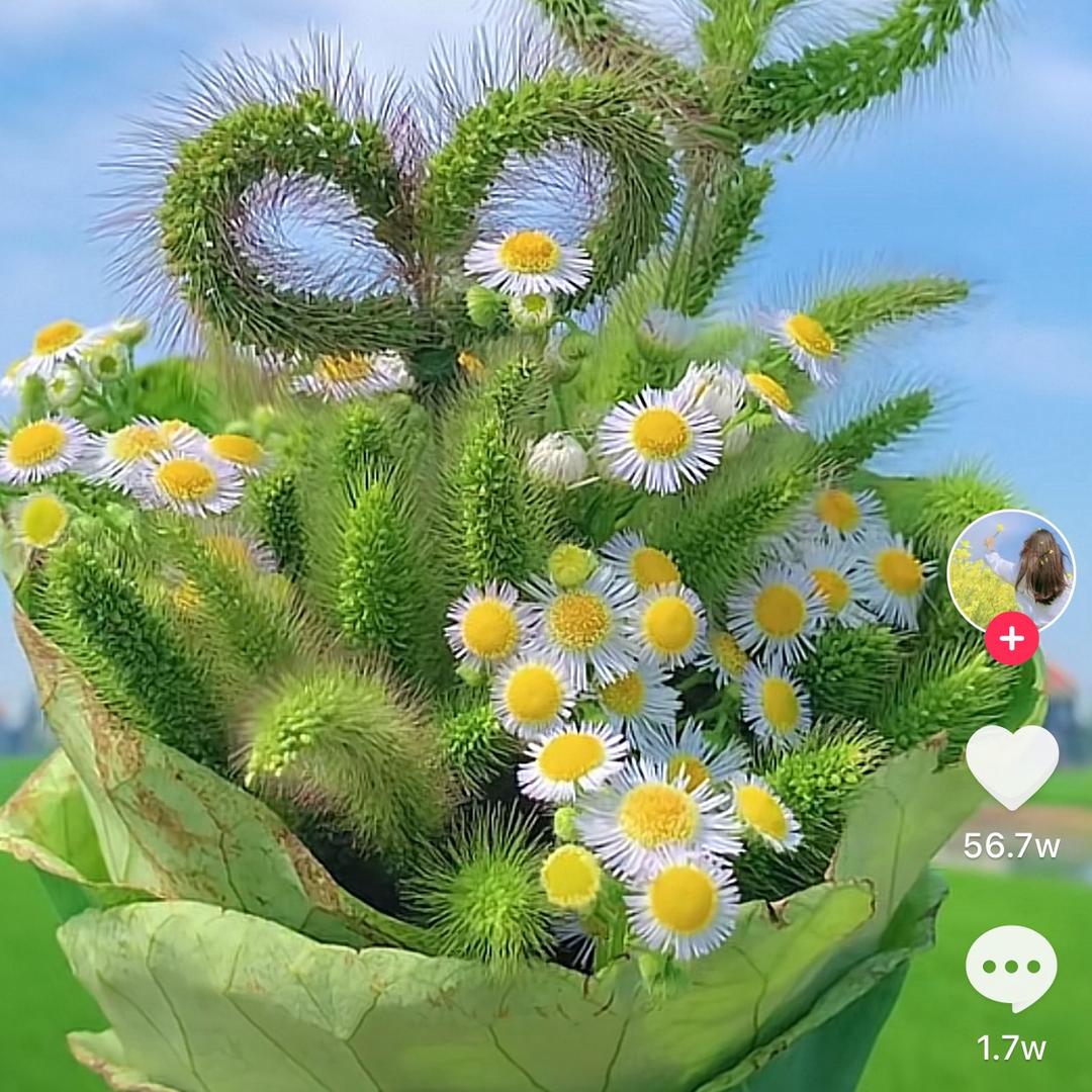 小芳
