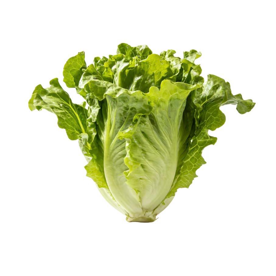 想吃清补凉怎么办