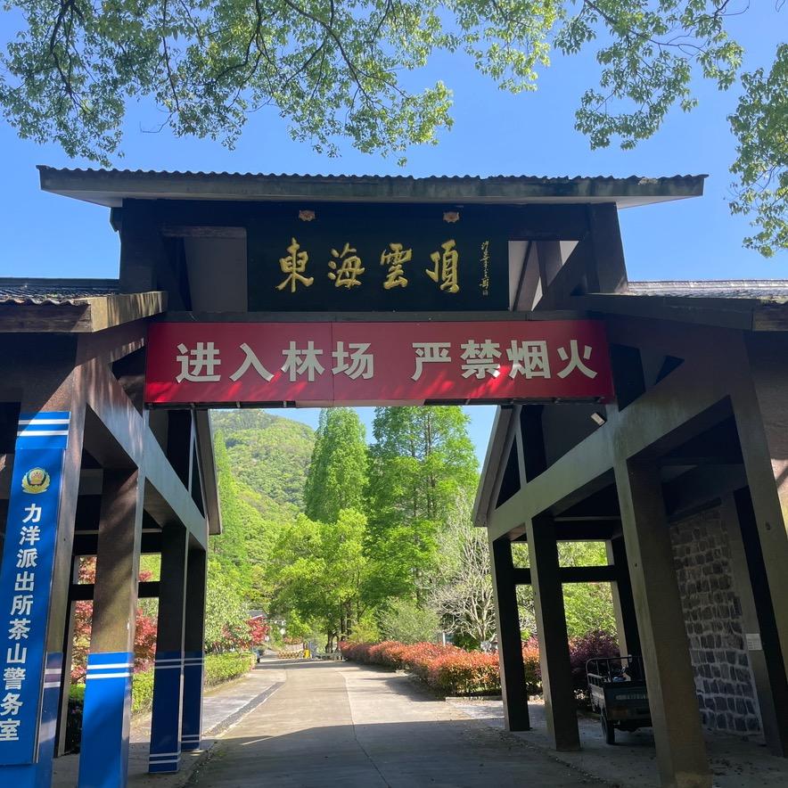 东海云顶✈️📷