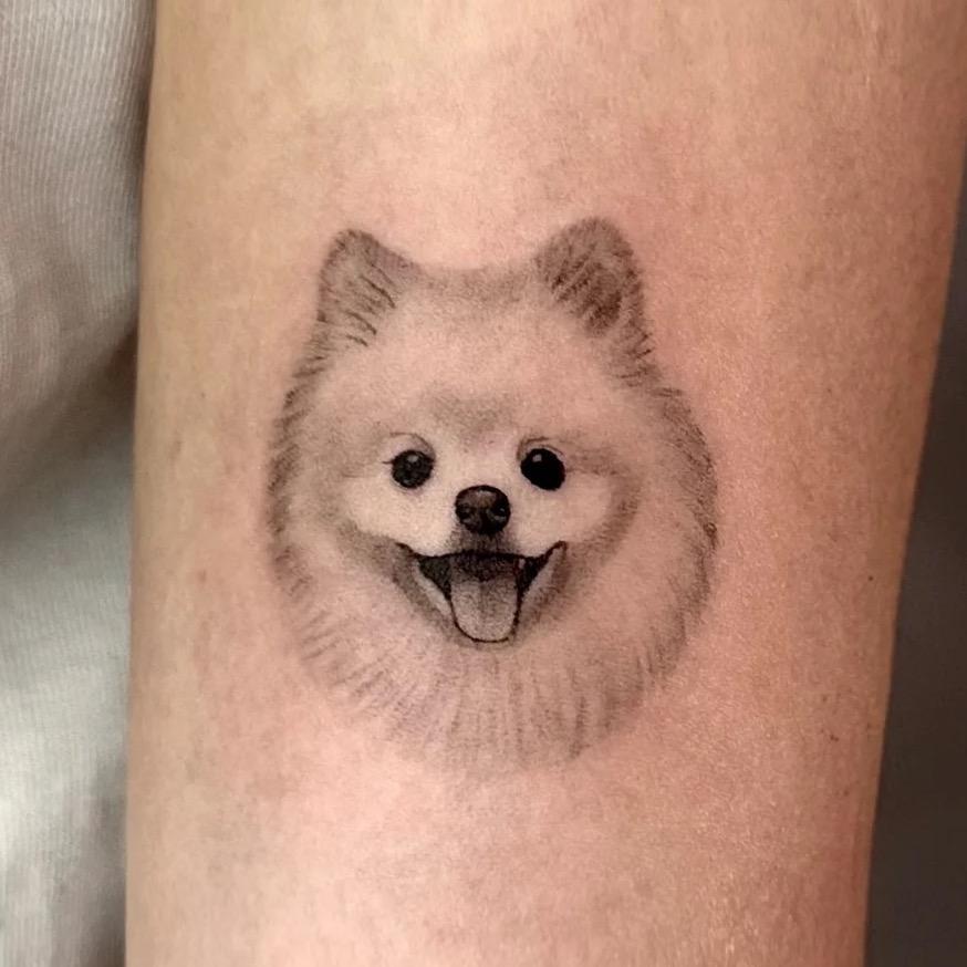 我的狗狗叫格格
