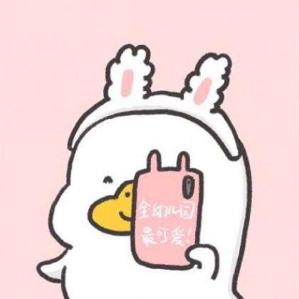 啾咪家庭安哥拉兔小鹦鹉繁殖