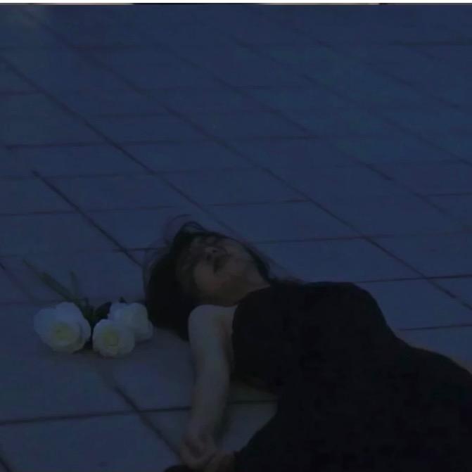 木木11