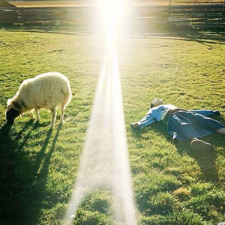 6—