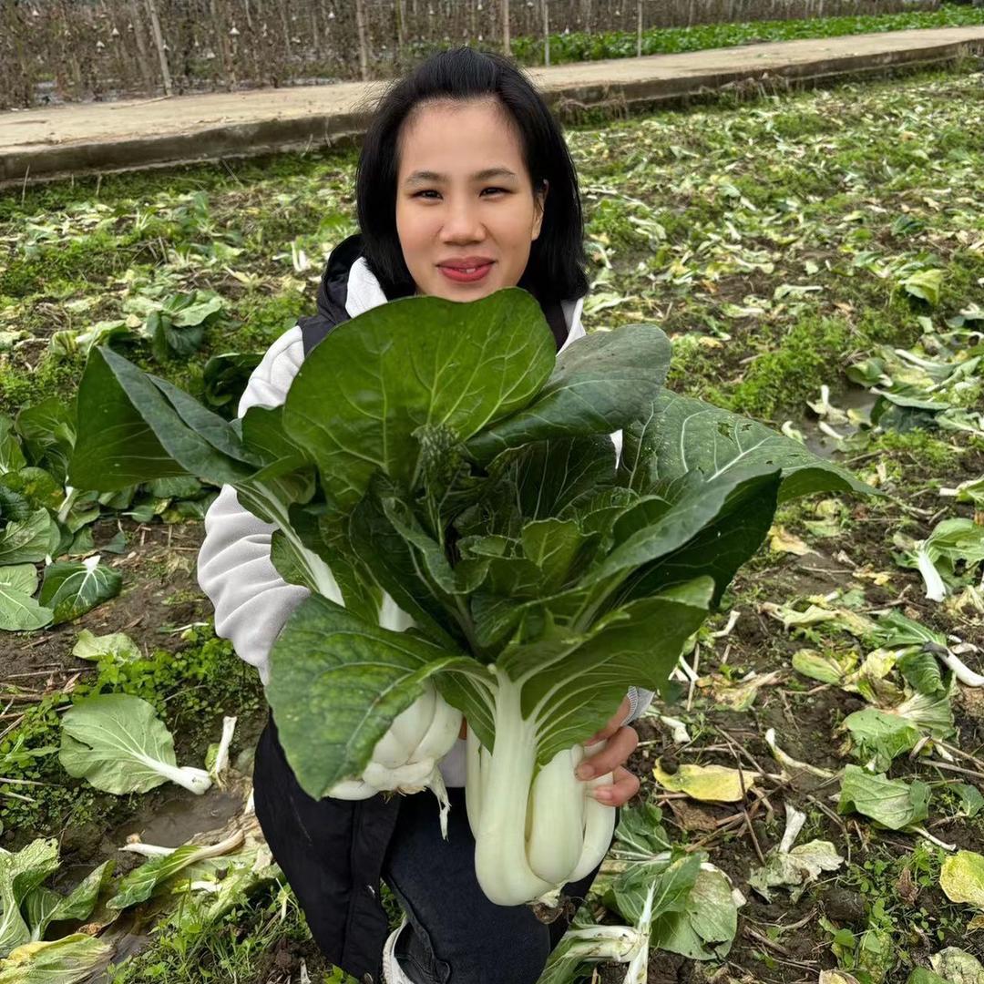 木棉的家乡特产