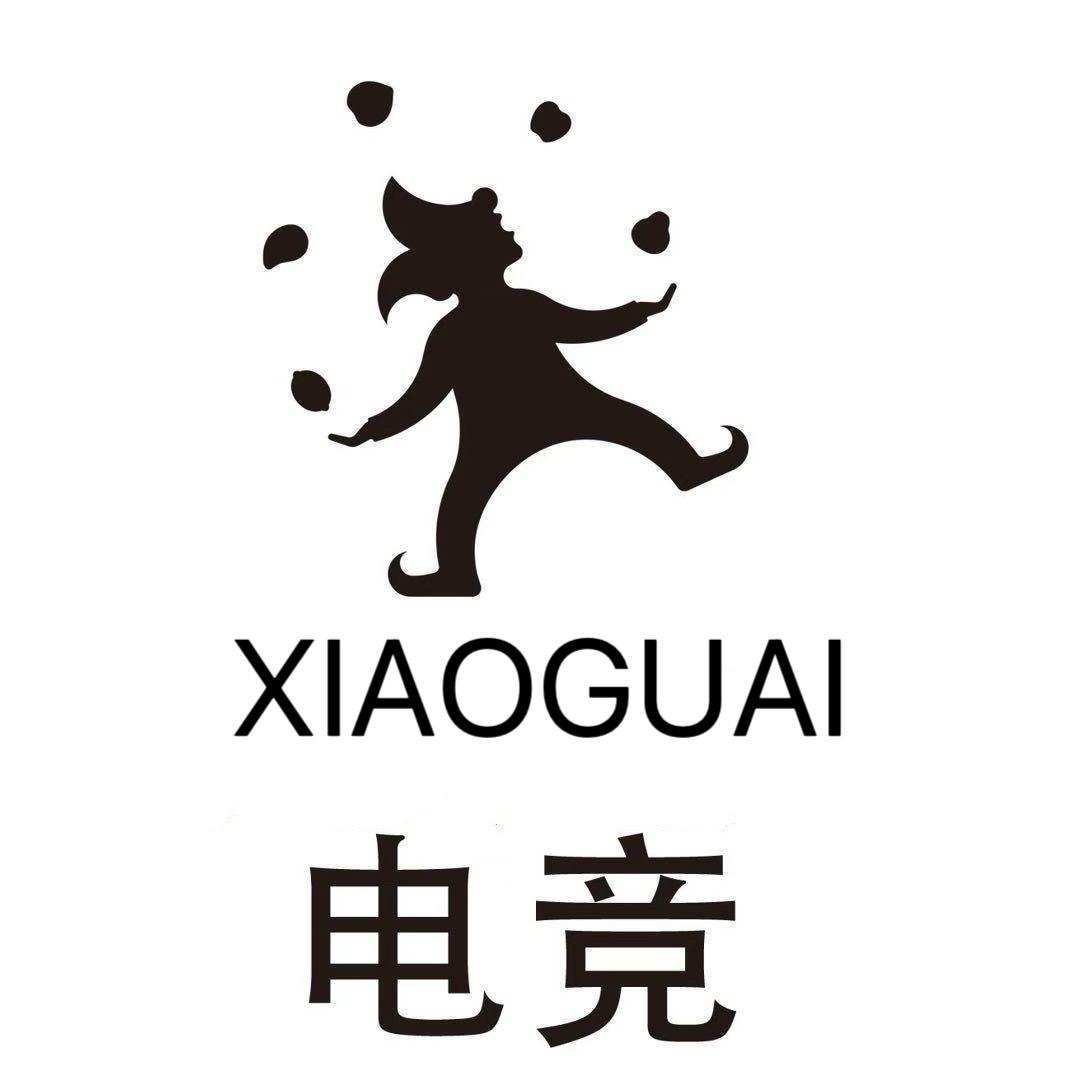¹ XIAOGUAI游戏俱乐部