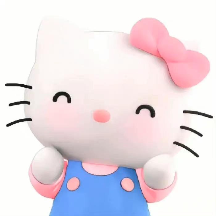 姐姐的kitty屋