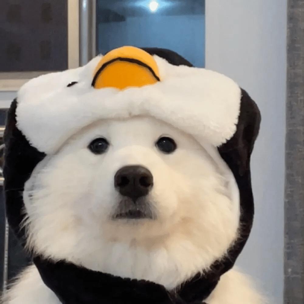 🔫装尿，呲谁谁叫