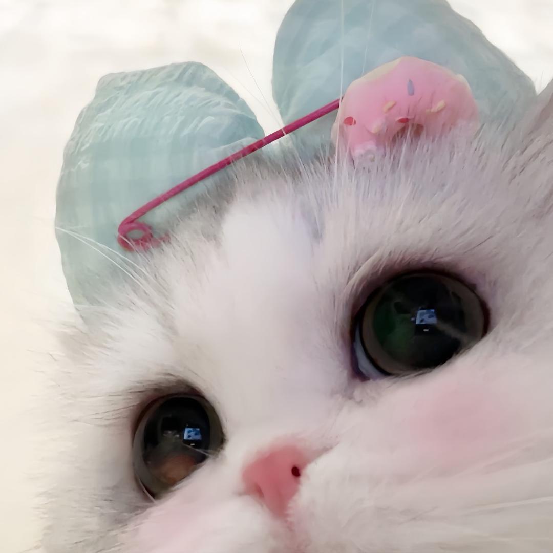Yuki00