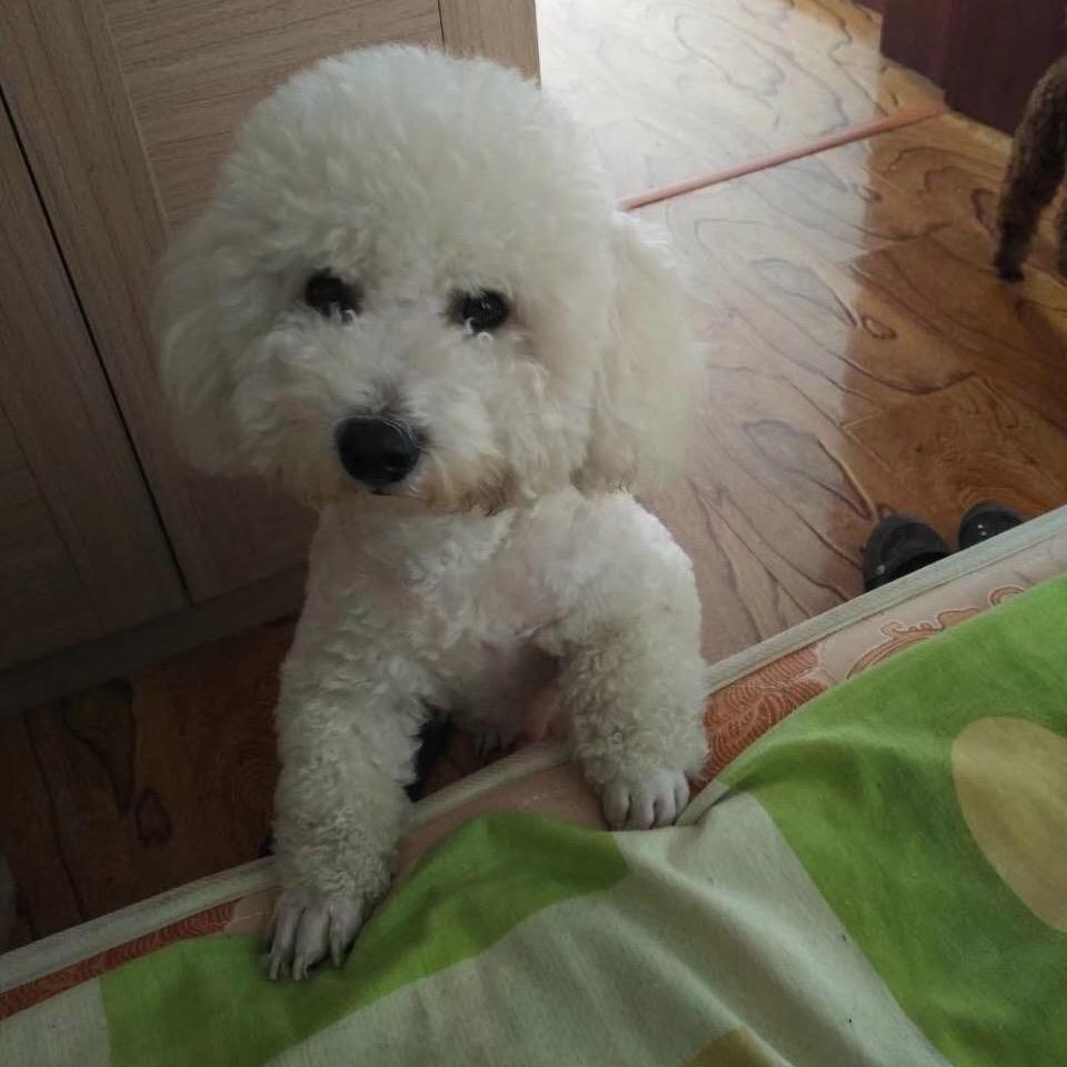 后宫佳丽三千^_^