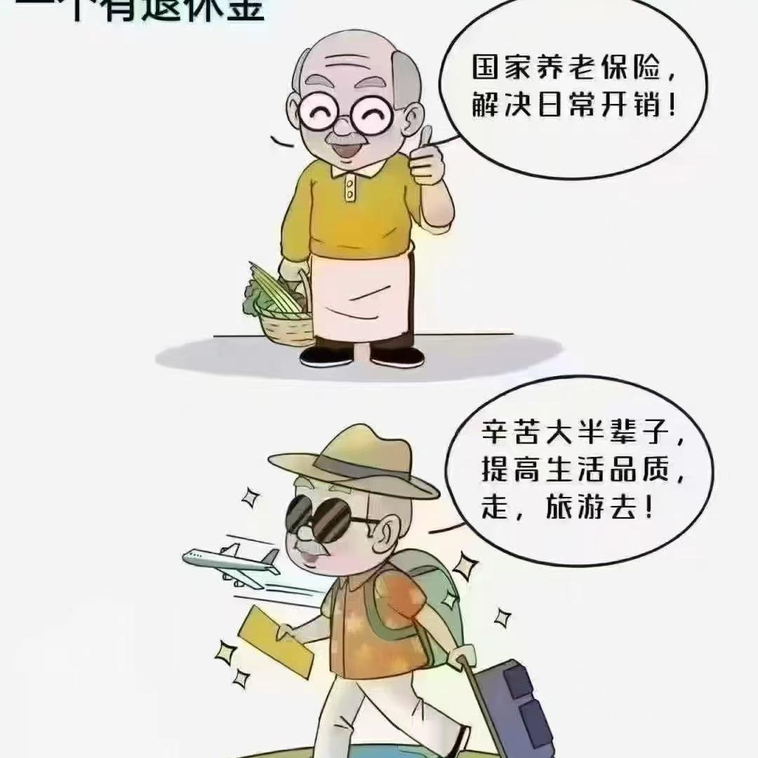 社保专线🐍🐍