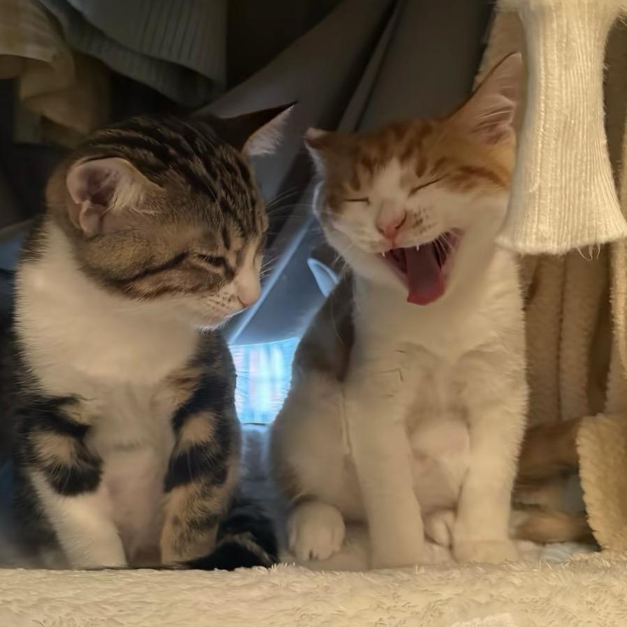 小方不方（与君对视十指相扣版）