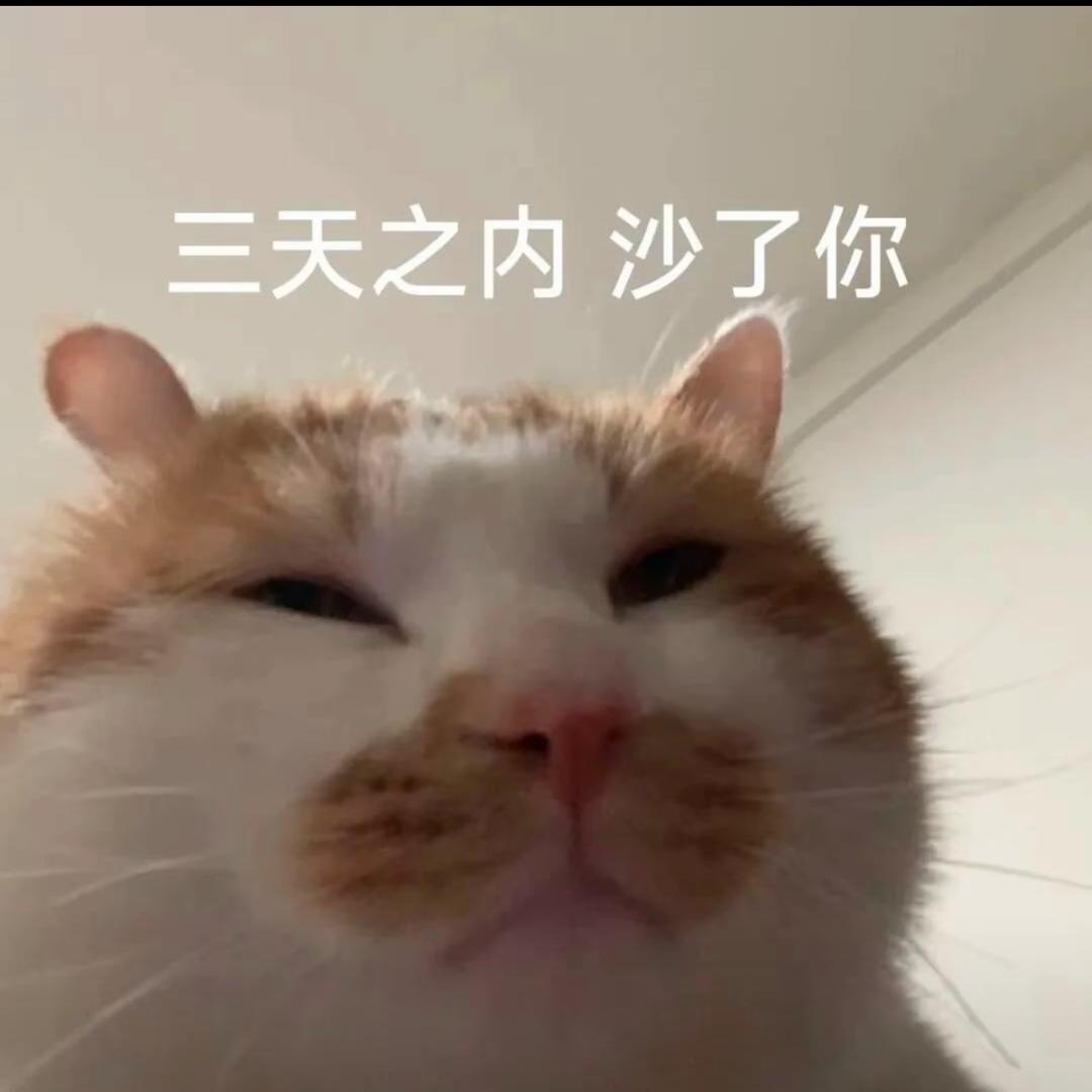 小能甜甜