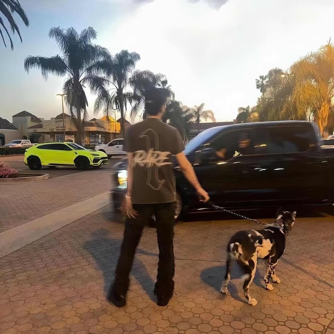 话说三遍淡如水