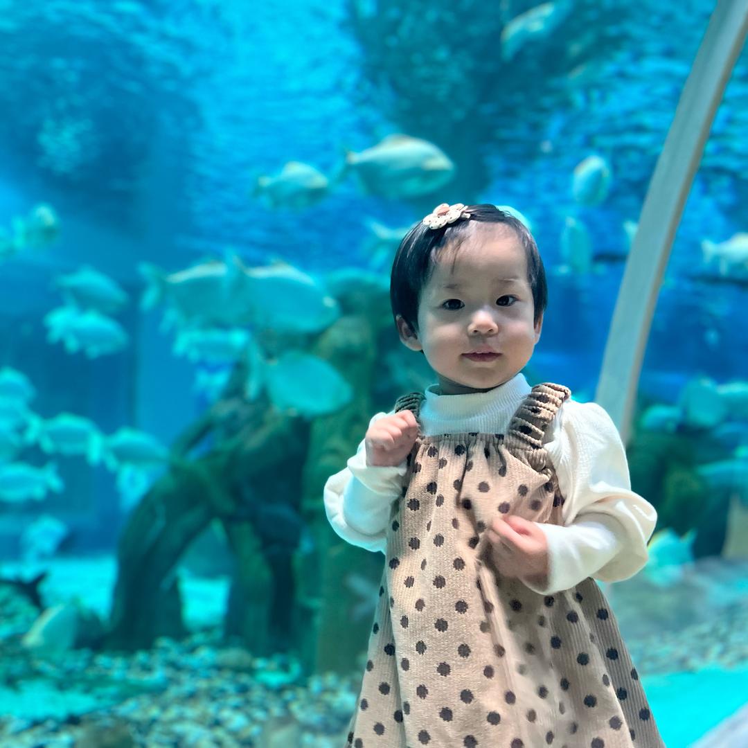 我有俩个开心果