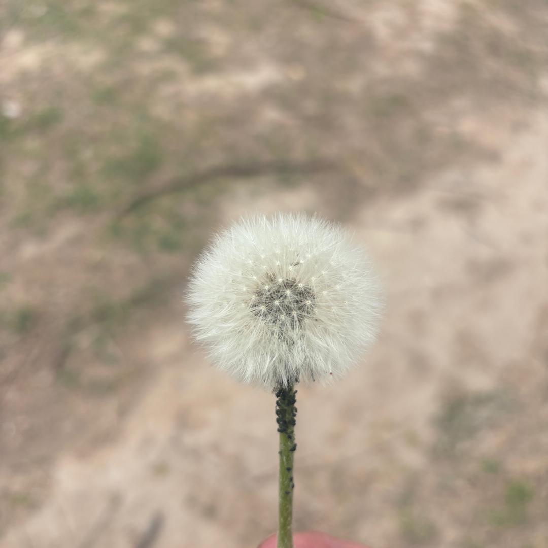 小时代