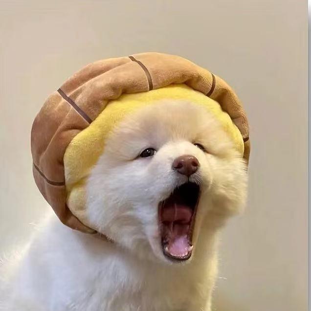 早起