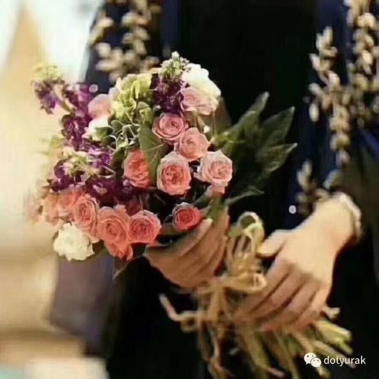 🌸 拜尔娜 🌸
