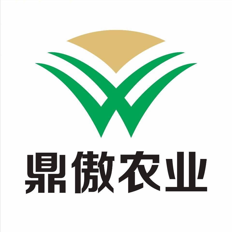 鼎傲专营店