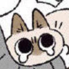 芝士夹心米布丁