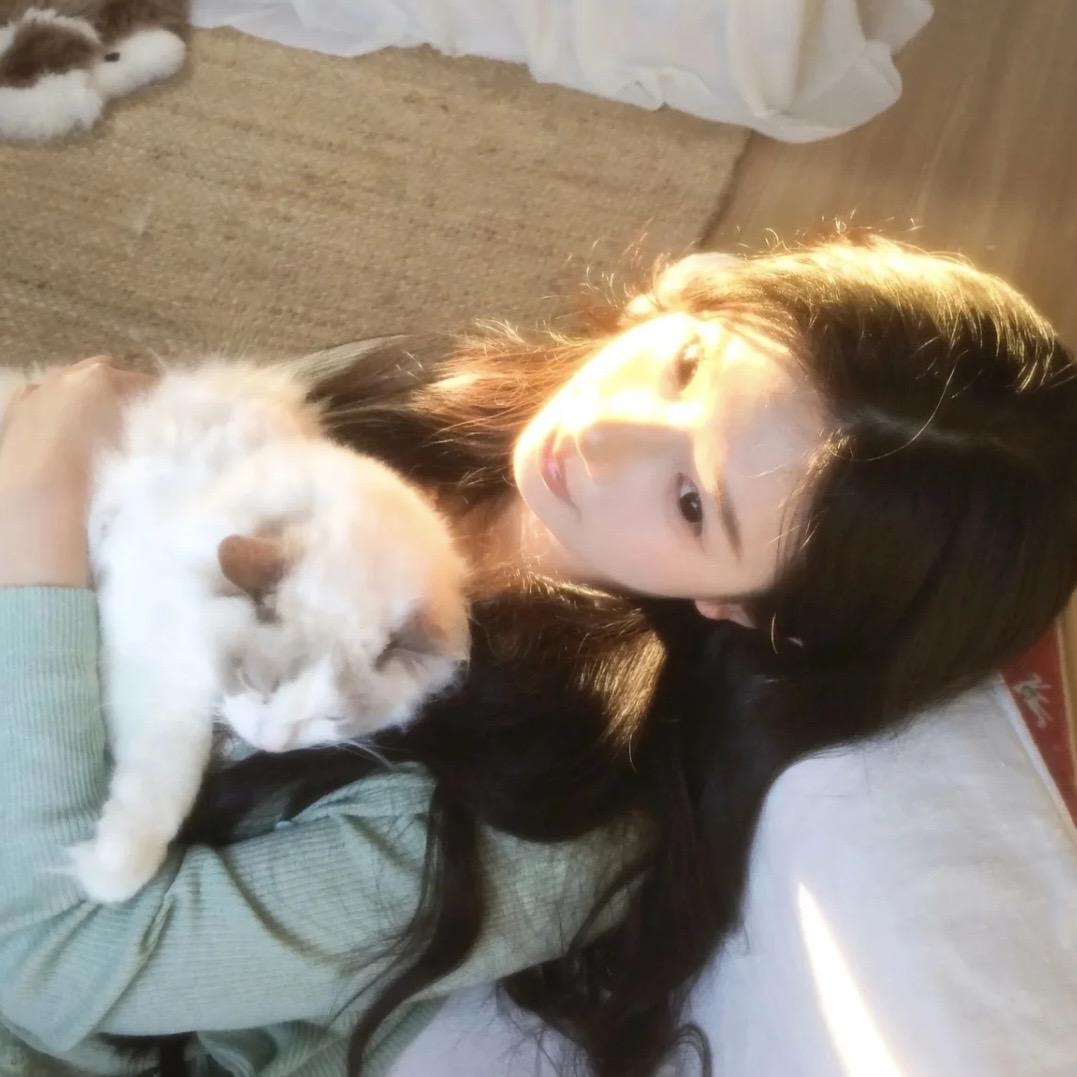 漂亮小猫/•᷅•᷄\୭