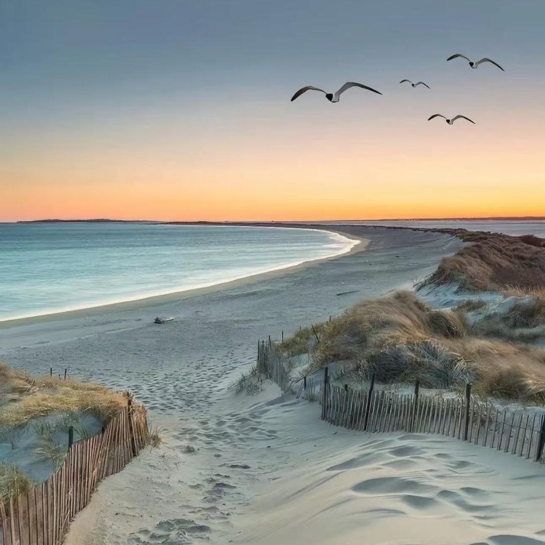 布兰特专营店正品直播