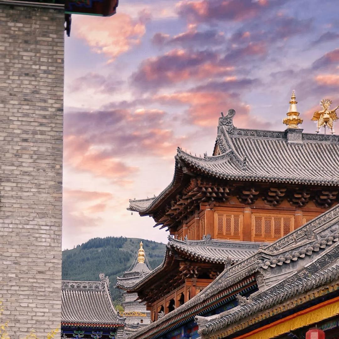 五台山阿蓉