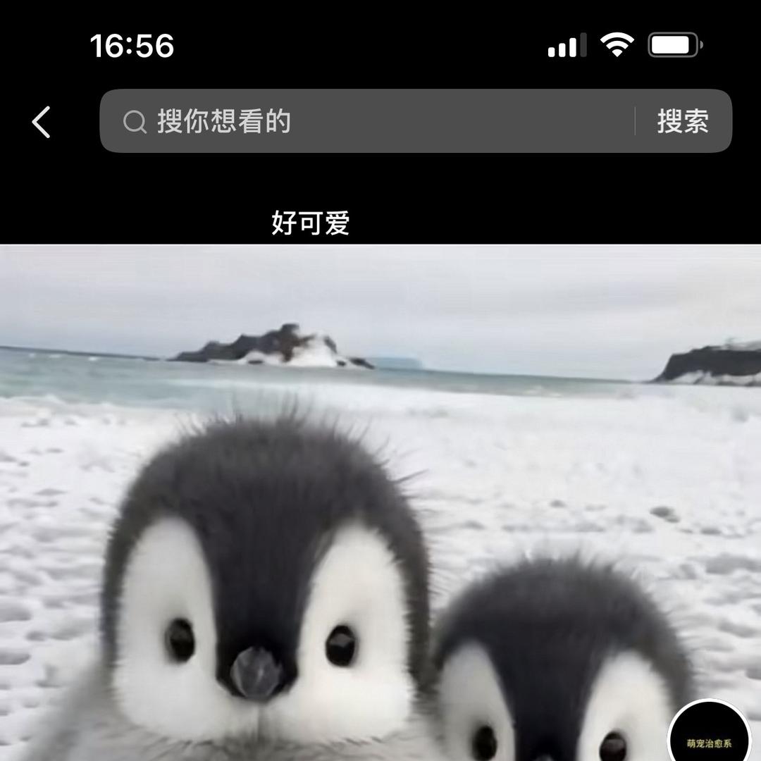 胖美丽 我以前200多呀! 丝路千捷盈