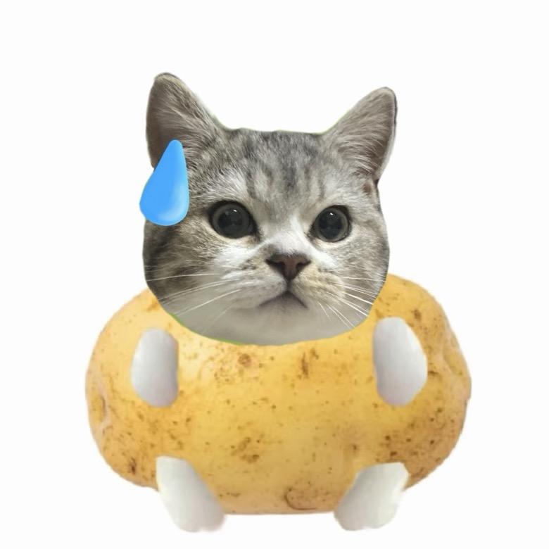 进击的旺仔🐱