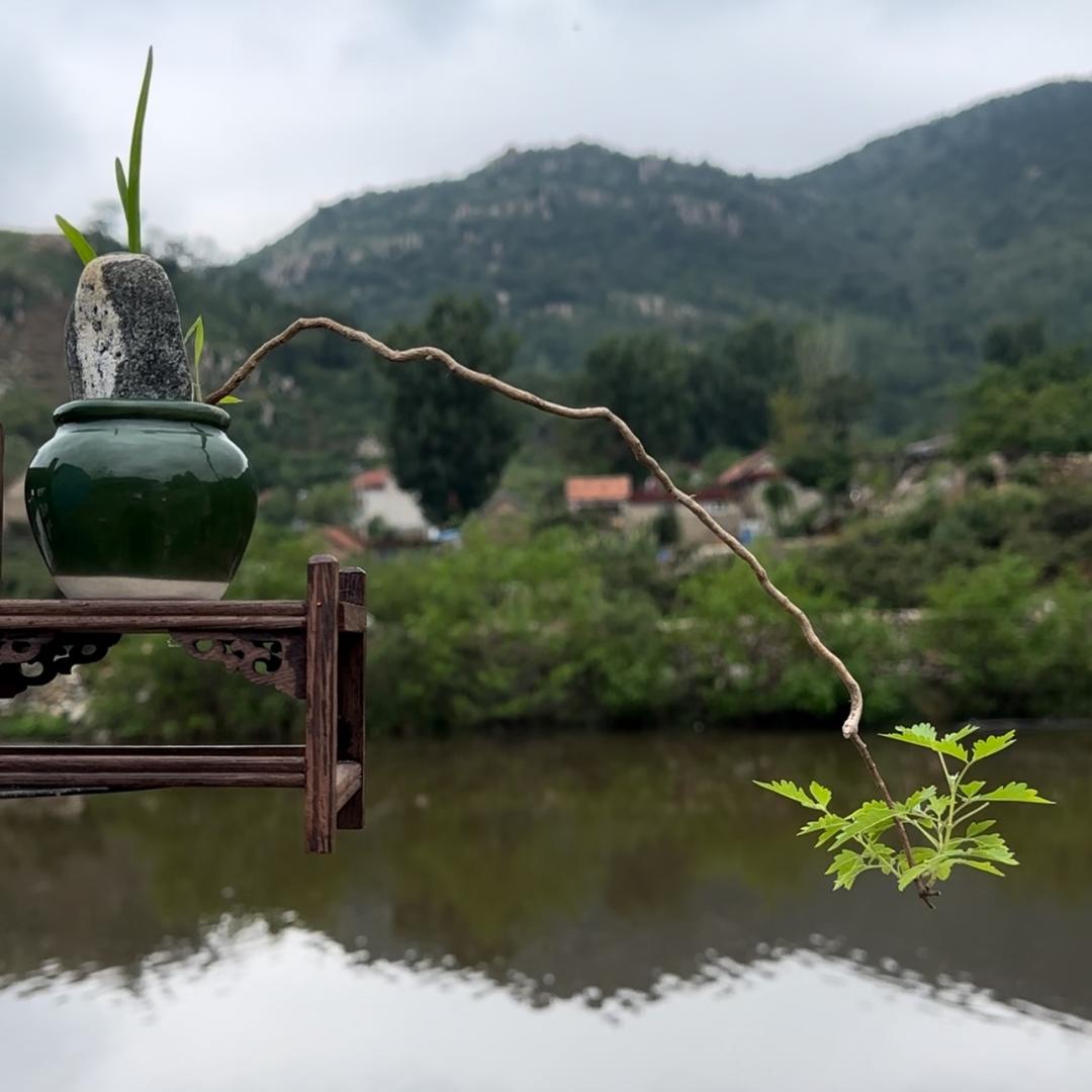花果甄选苗木基地