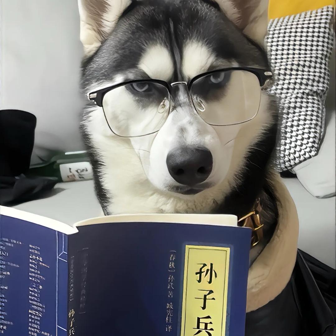 嘉豪快点飞（无界飞行）