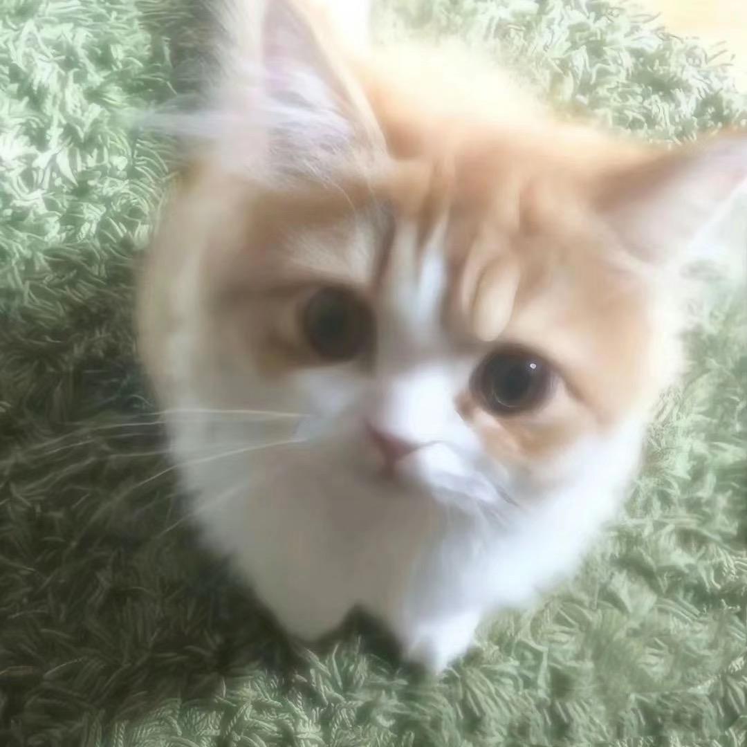 小ki