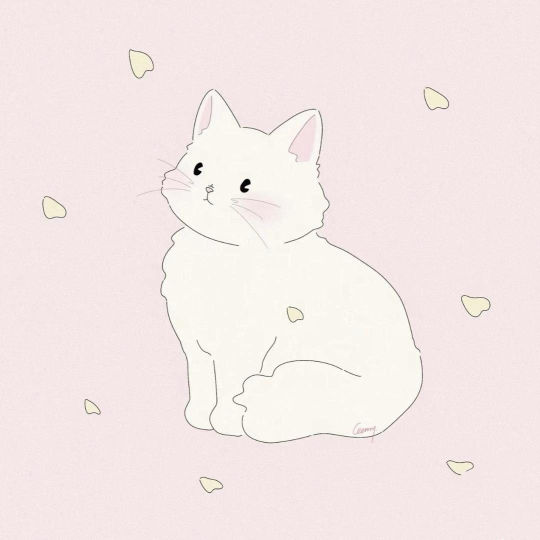 杨杨
