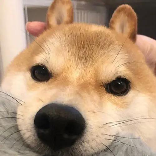 就叫博文·