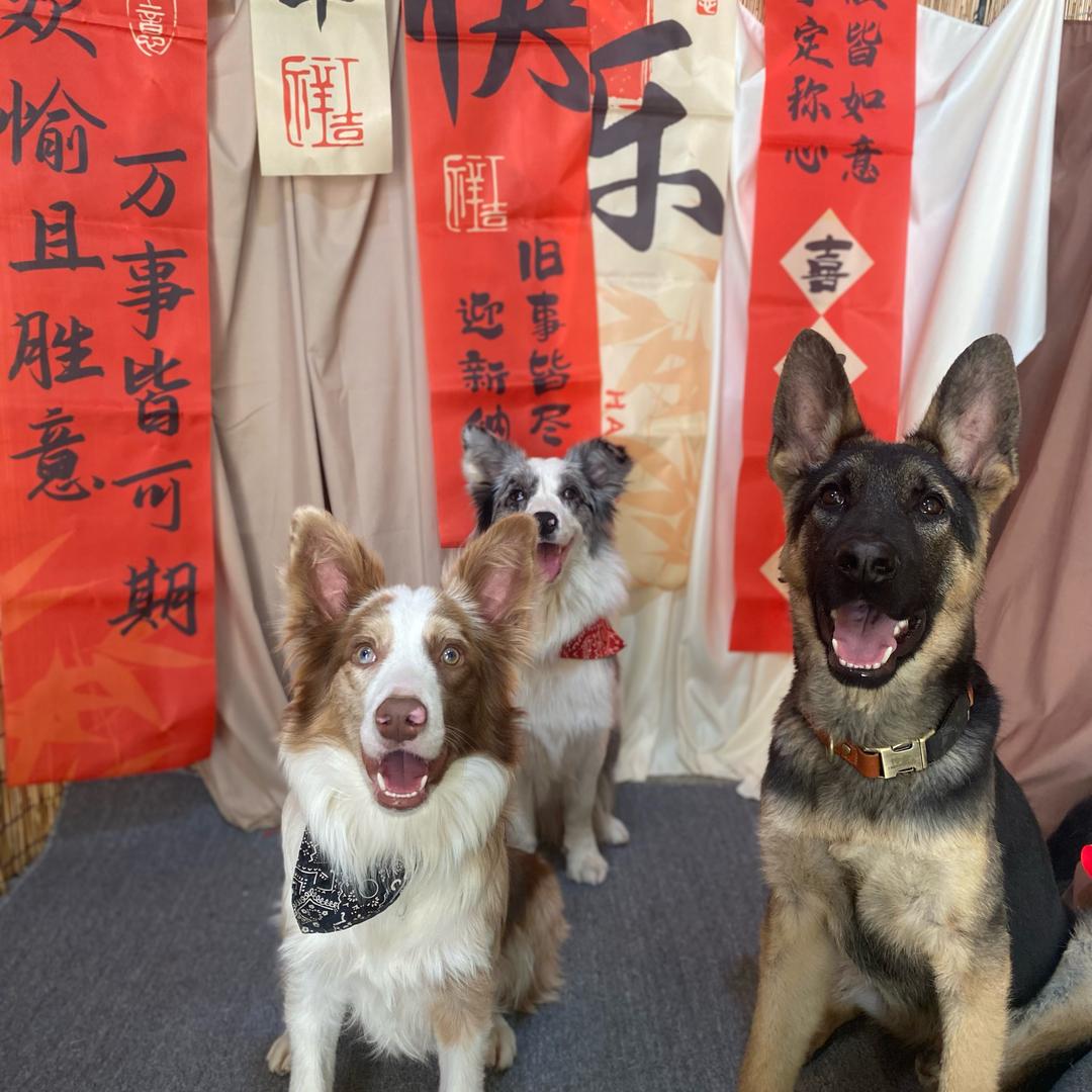 红烧肉炒包菜炖排骨