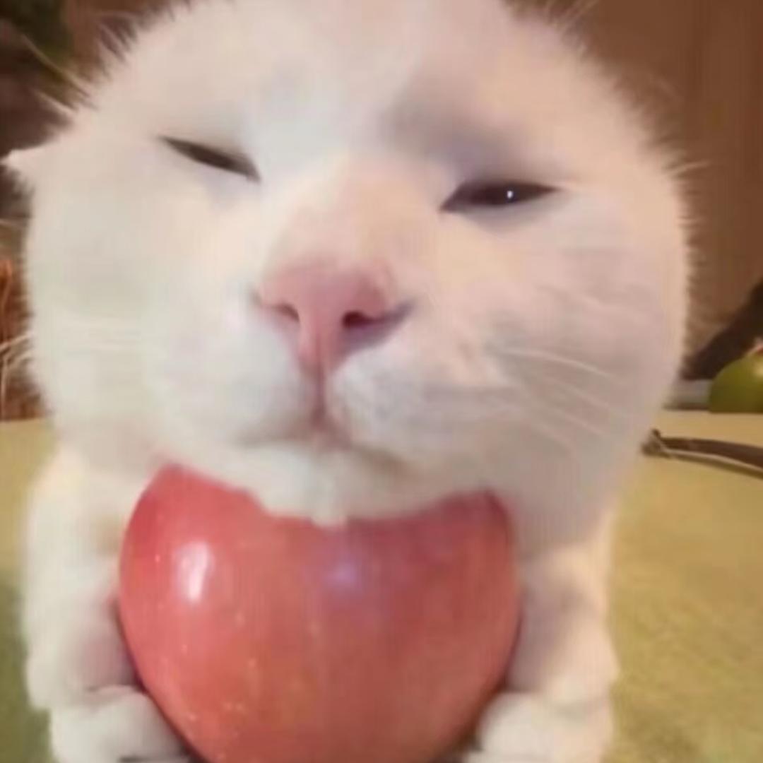 🐰