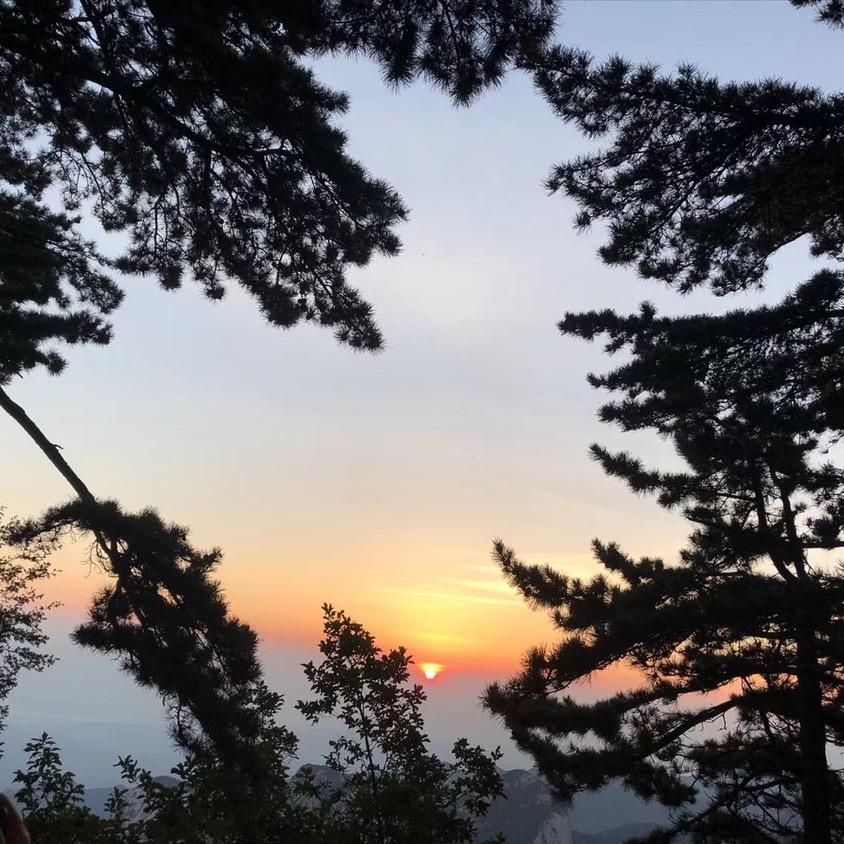 🐷🐷🐷🐷先生