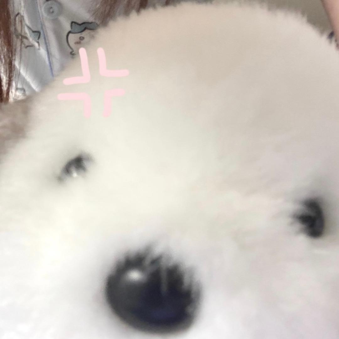 ki^ccy