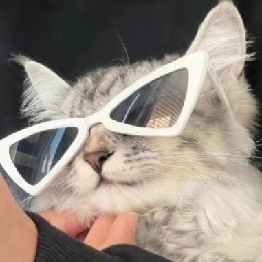 小钱不可爱