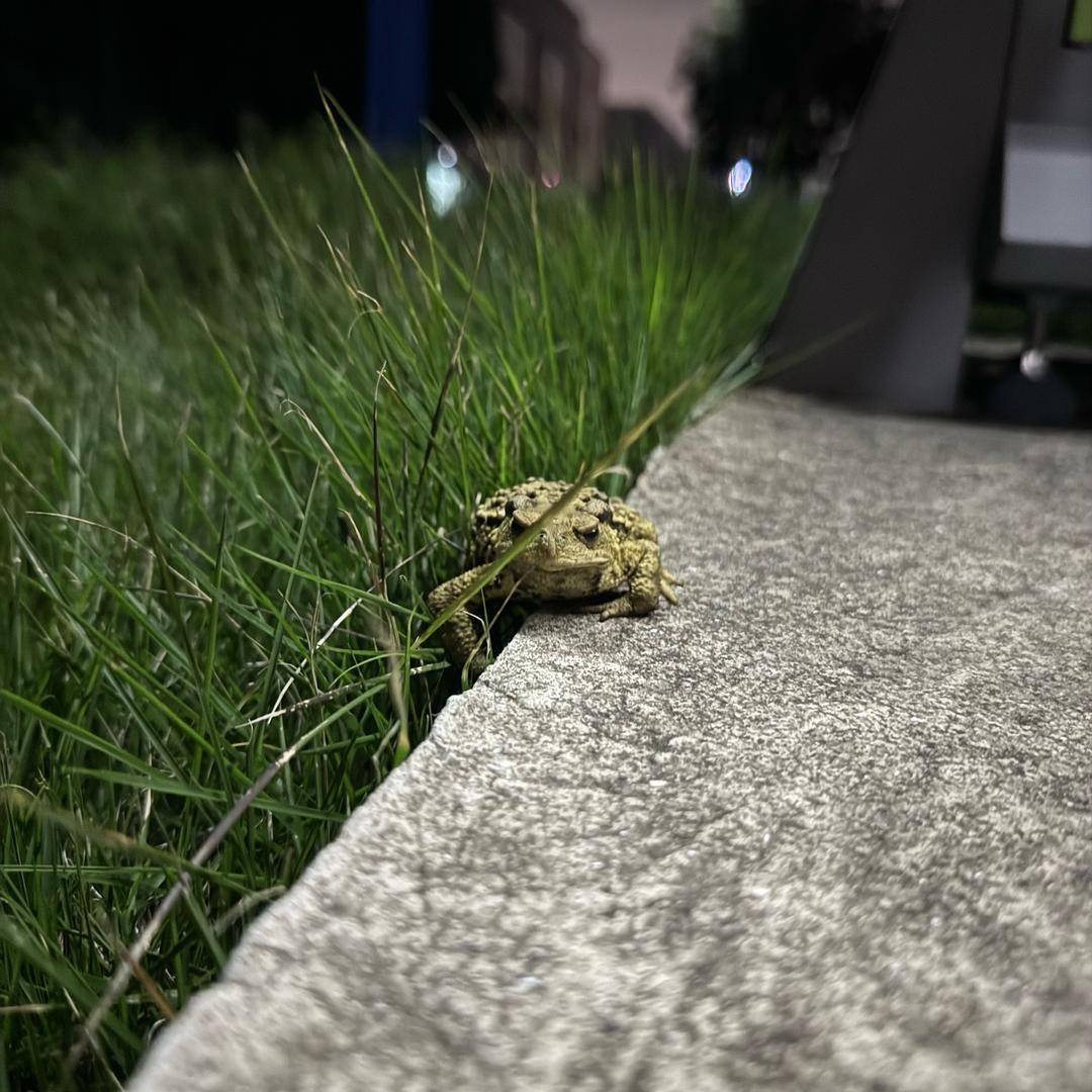 ¹²³⁴⁵⁶⁷⁸⁹
