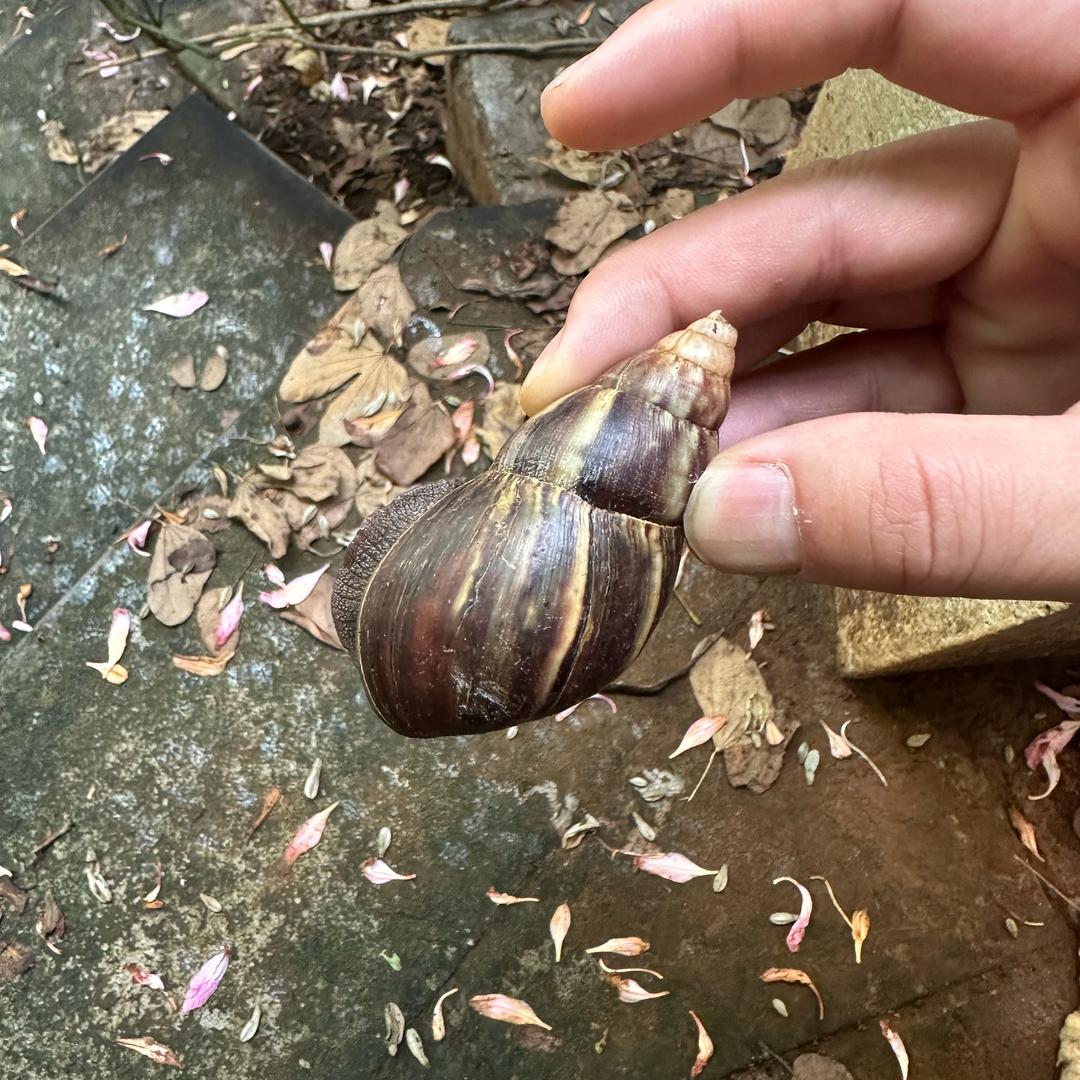 老伟修电器