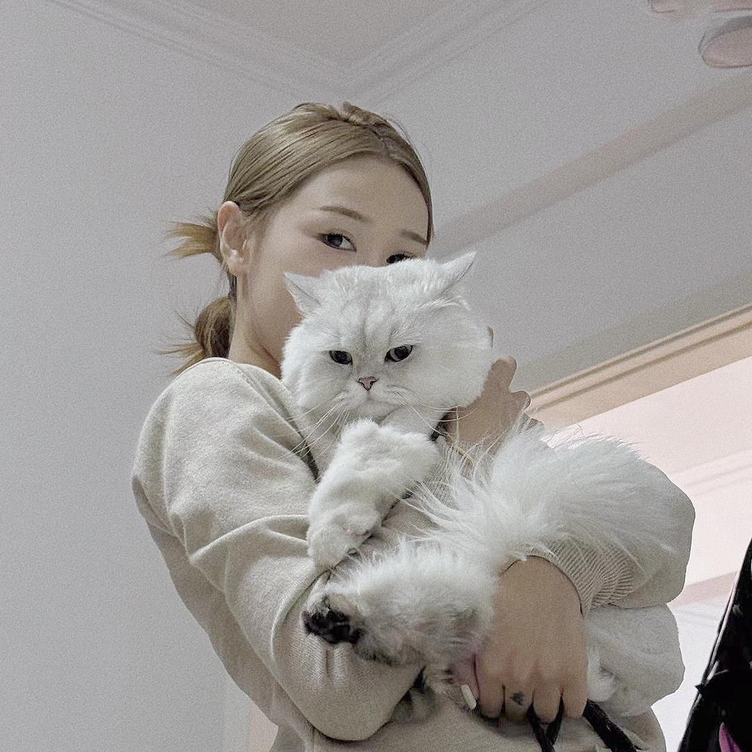 给我一份麻薯·