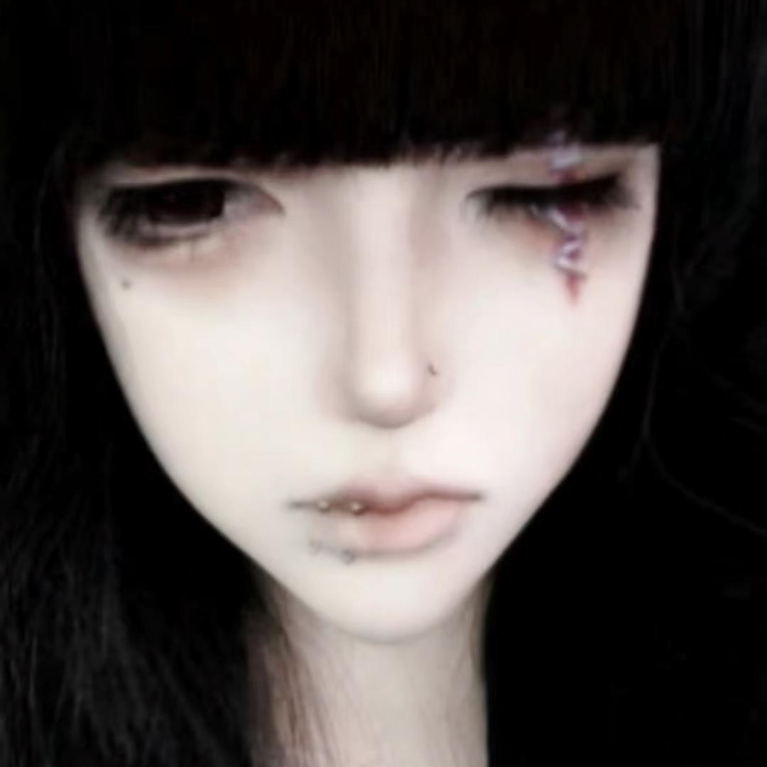 一只猫（破防版）