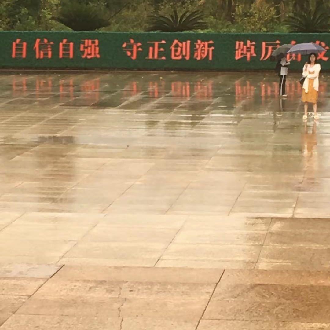 野兽