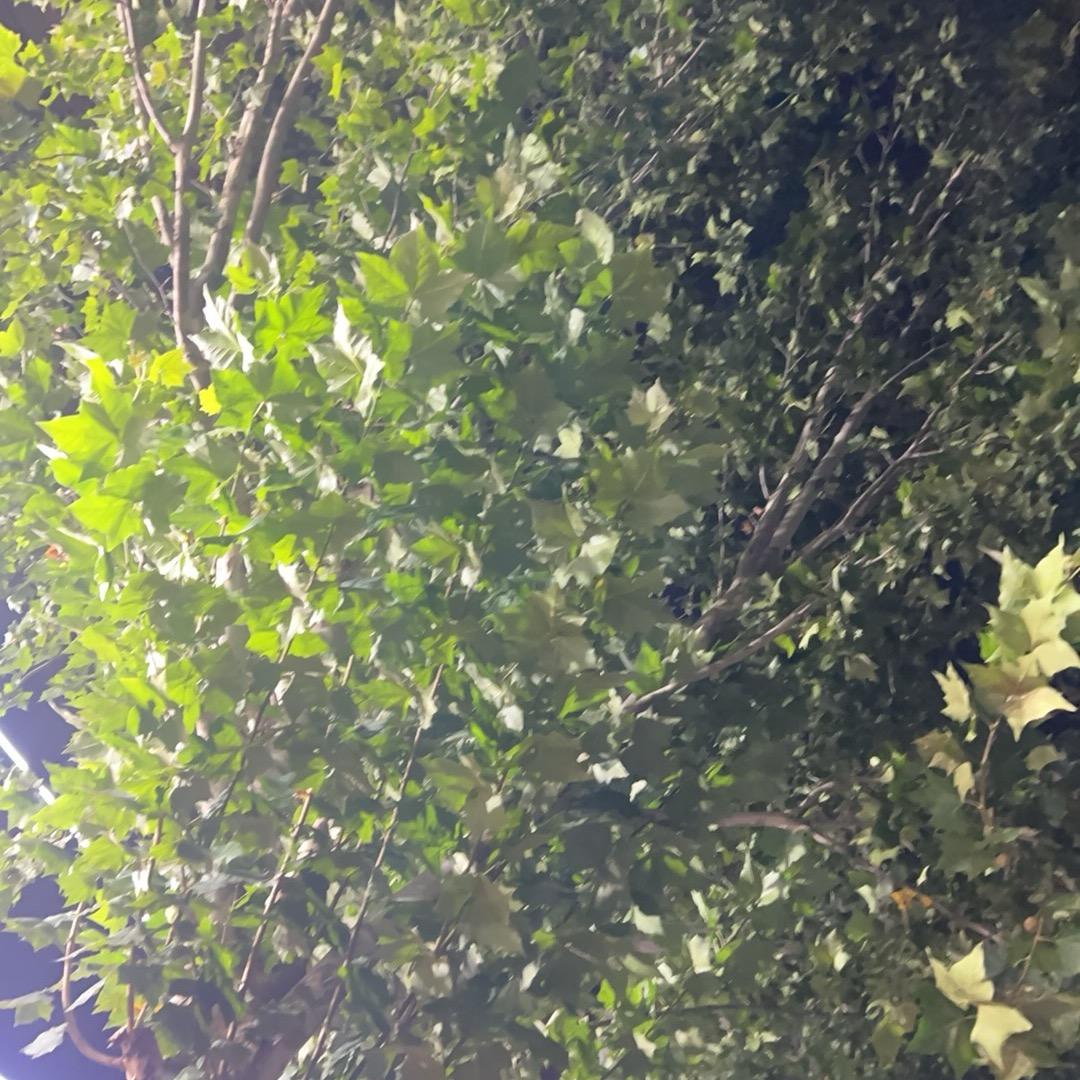 用美的智慧空调（直播间）