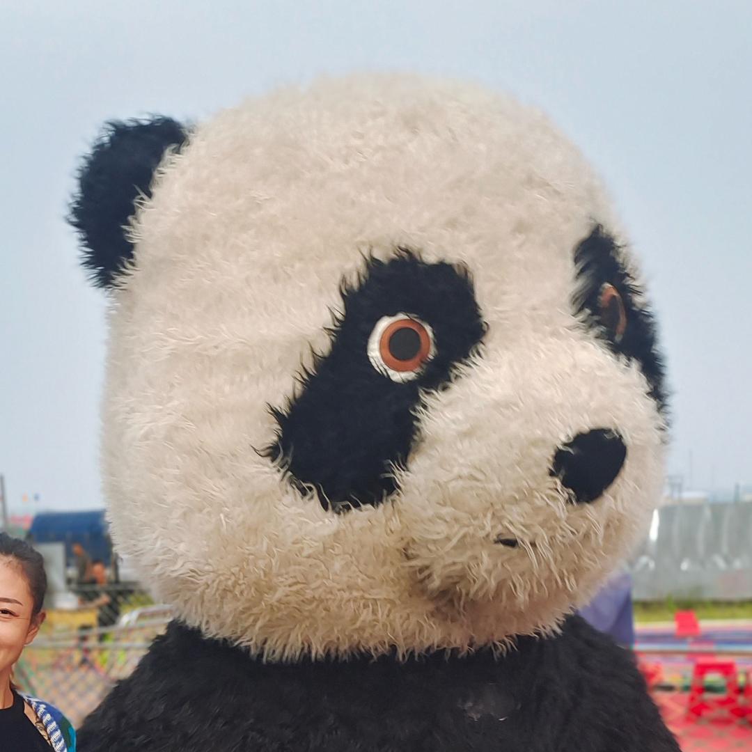 坐在坟前指挥👻