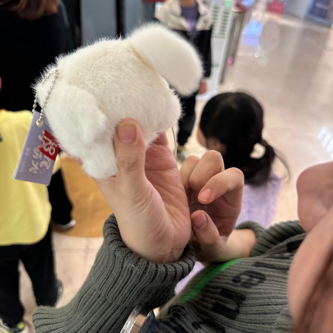 张先生的美好生活